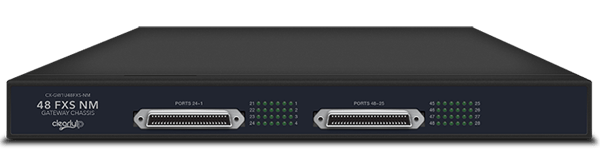 14IP 48 Port Non-Modular Analog VoIP Gateway