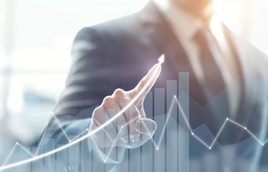 Revenue Growth